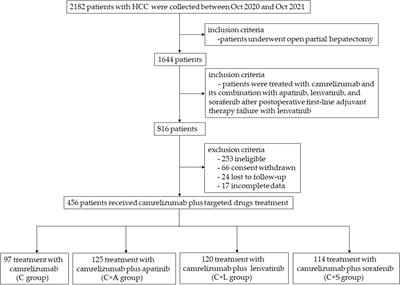 Clinical efficacy and safety evaluation of camrelizumab plus lenvatinib in adjuvant therapy after hepatocellular carcinoma surgery